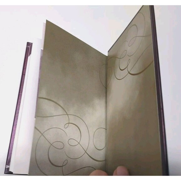 New 365 Devotion Book Jesus Always Embracing Joy in His Presence By Sarah Young - Picture 16 of 16